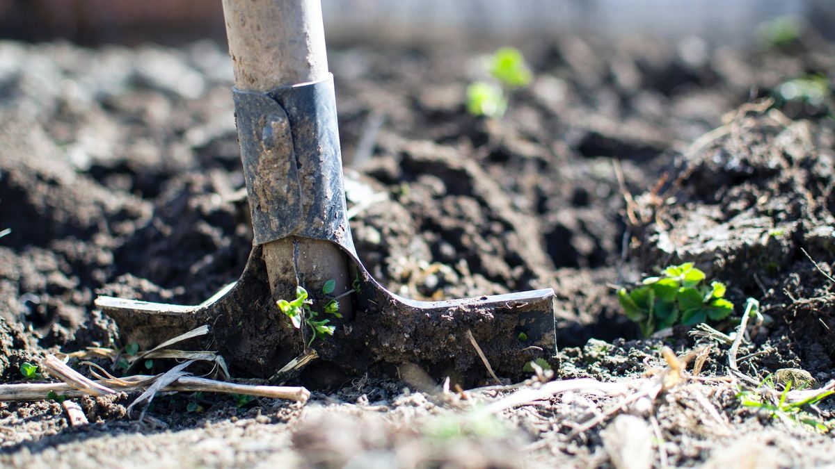 PADG How to Work with Clay Soil - Follow-on to the Palo Alto library talk - Palo Alto