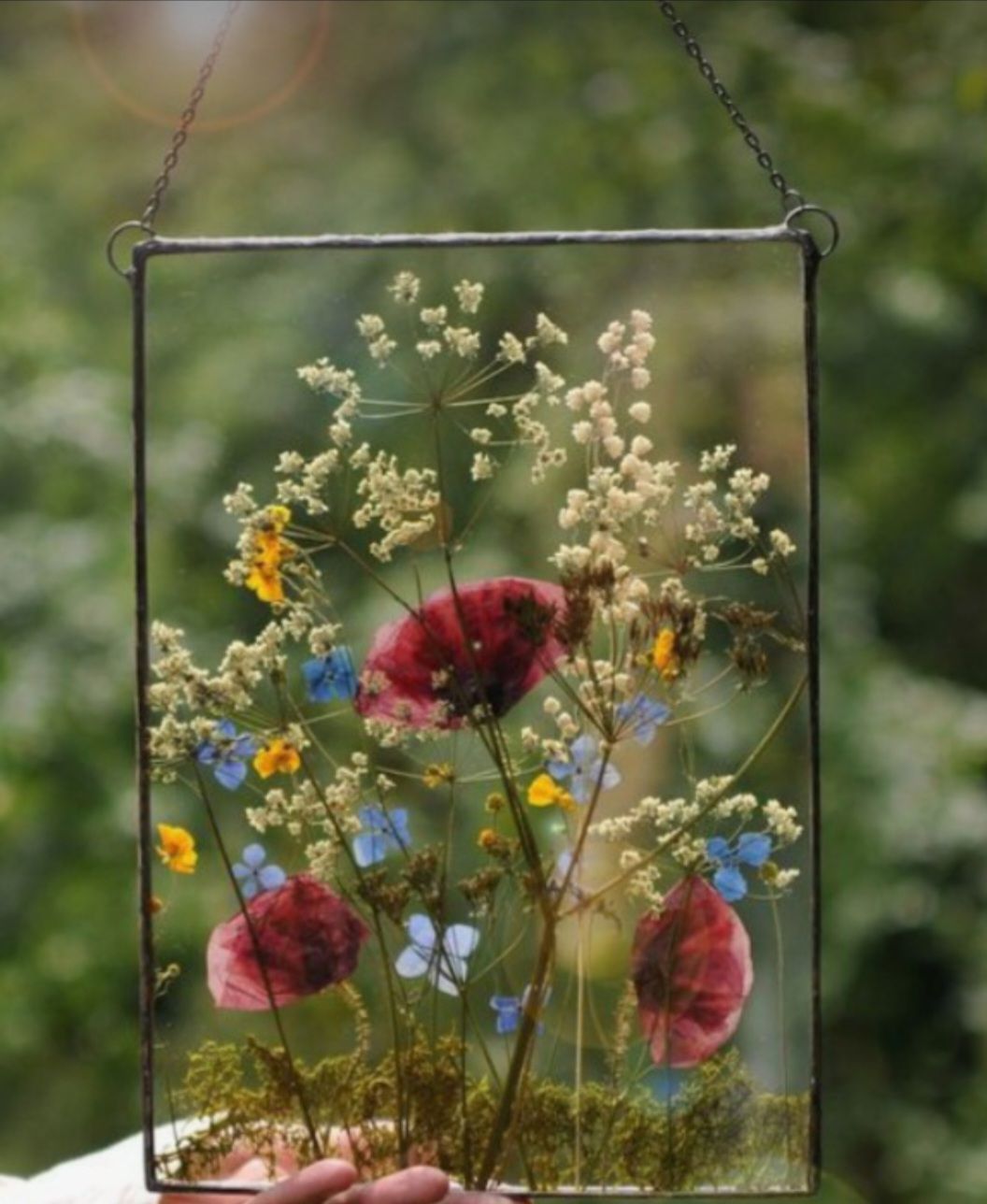 Workshop- Pressed Flower Suncatchers 