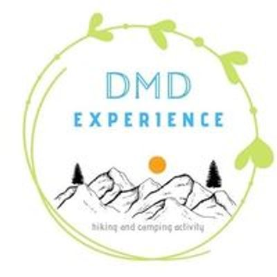 DMD Experience
