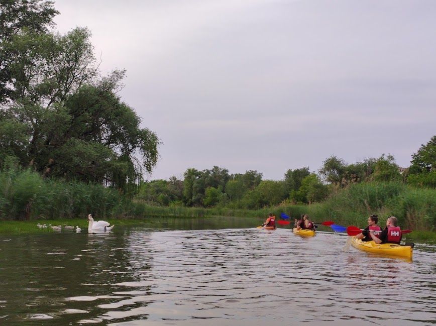 R.S.D. 42 Kajak t\u00fara