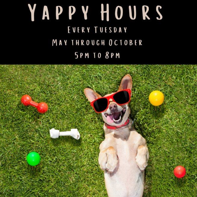 Yappy Hours at The Winery at Wolf Creek