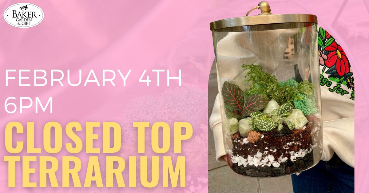 Closed Top Terrarium