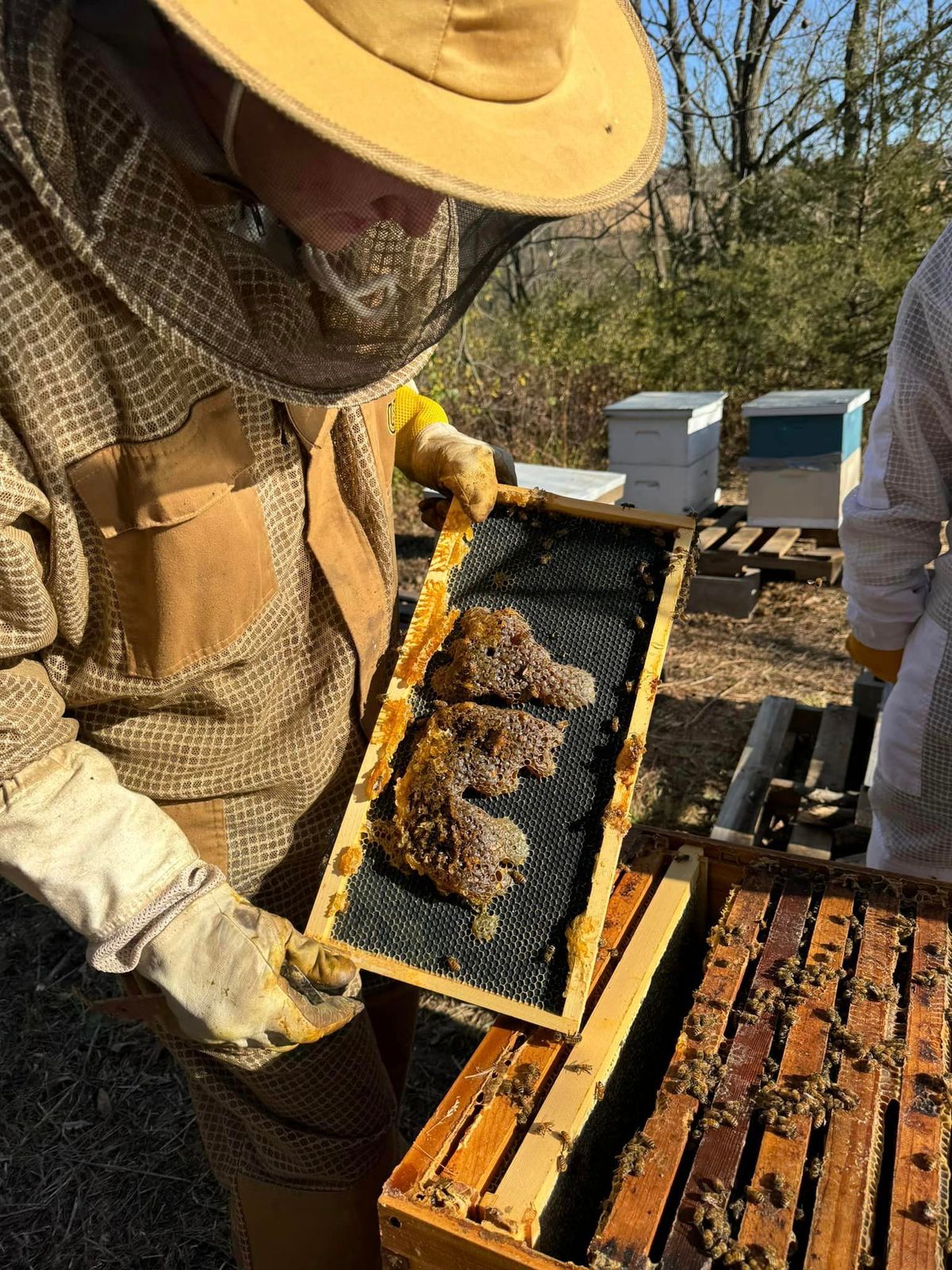 Beekeeping Bootcamp