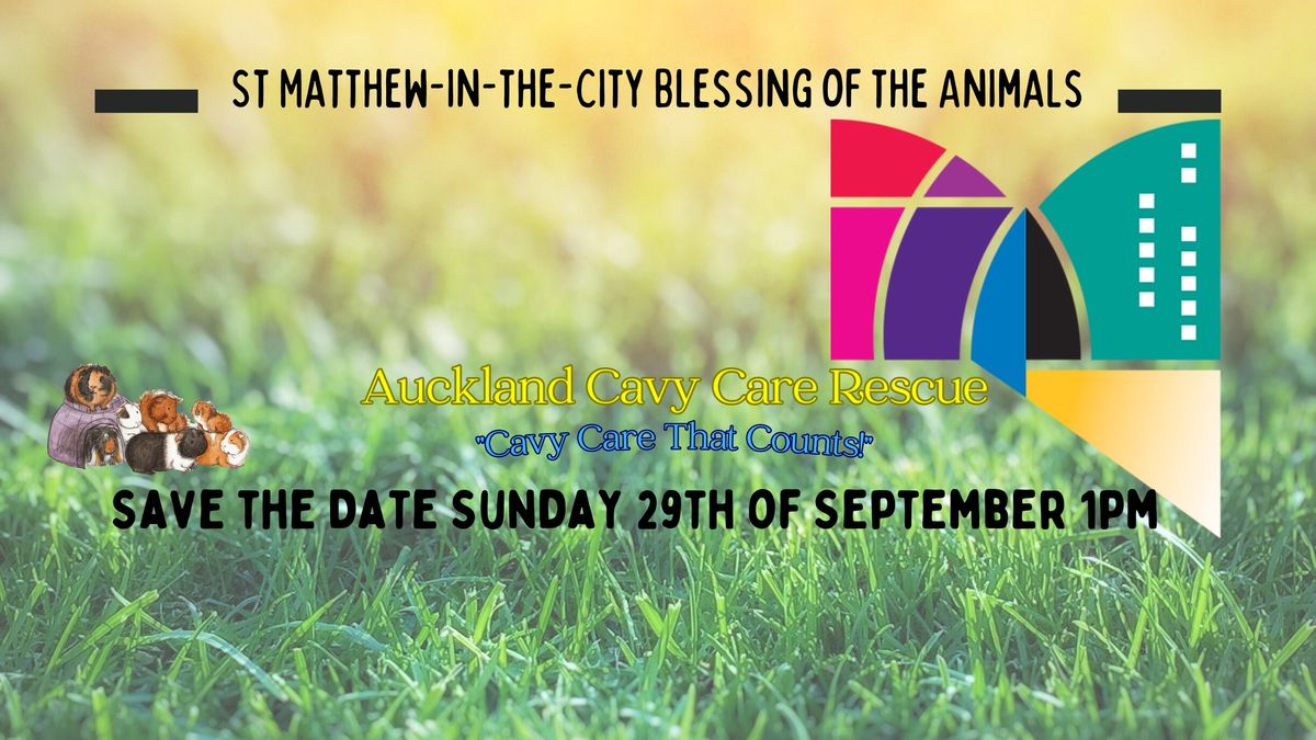 St Matthew-in-the-City Blessing Of The Animals