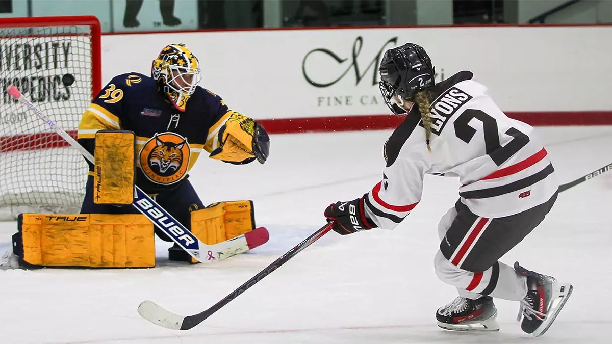 Stonehill Skyhawks at Brown Bears Mens Hockey