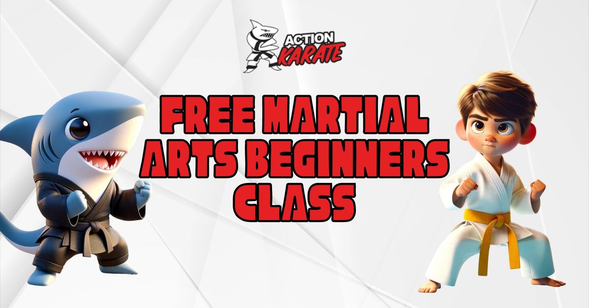 Free Kids Martial Arts Class For Beginners