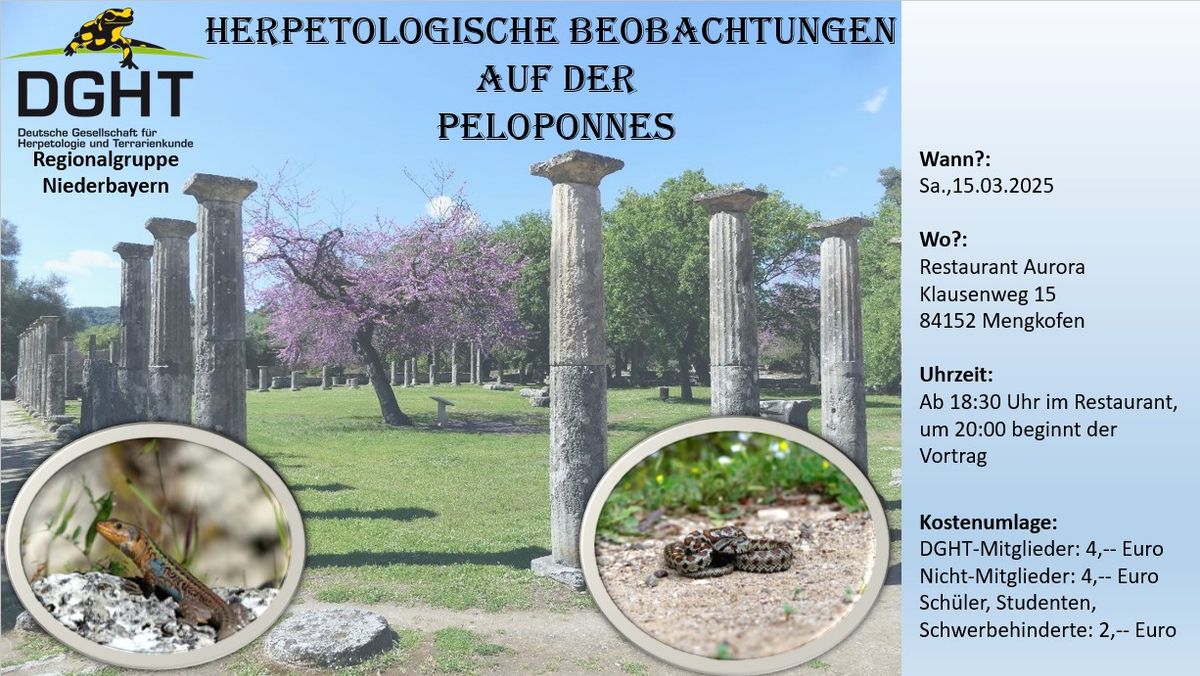 Herpetologische Beobachtungen  auf der Peloponnes