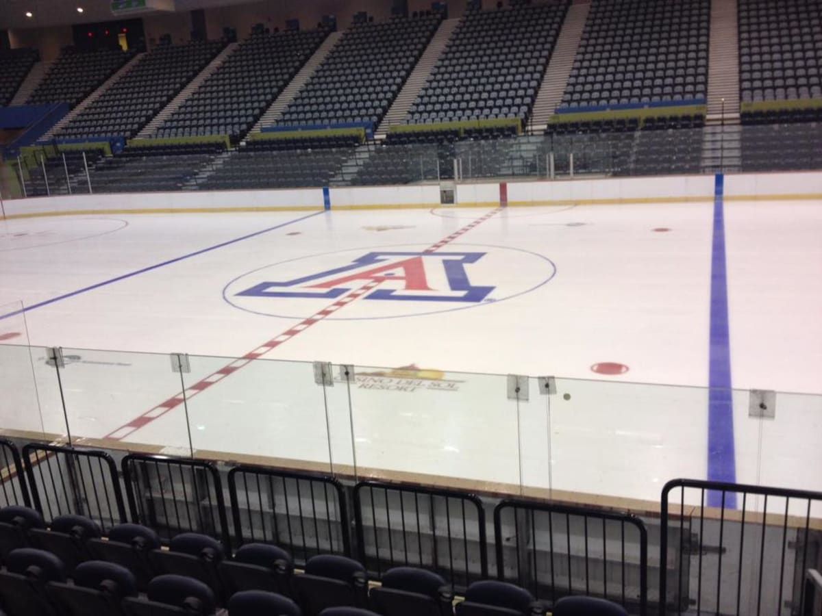 Arizona Women's Wildcats Hockey