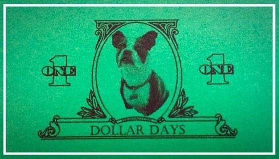 Dollar Days DeFrance on Eglin 