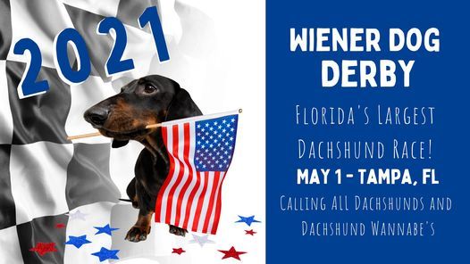 The Florida Wiener Dog Derby 2021 6400 E Chelsea St Tampa Fl 33610 5628 United States 1 May 2021 [ 296 x 526 Pixel ]