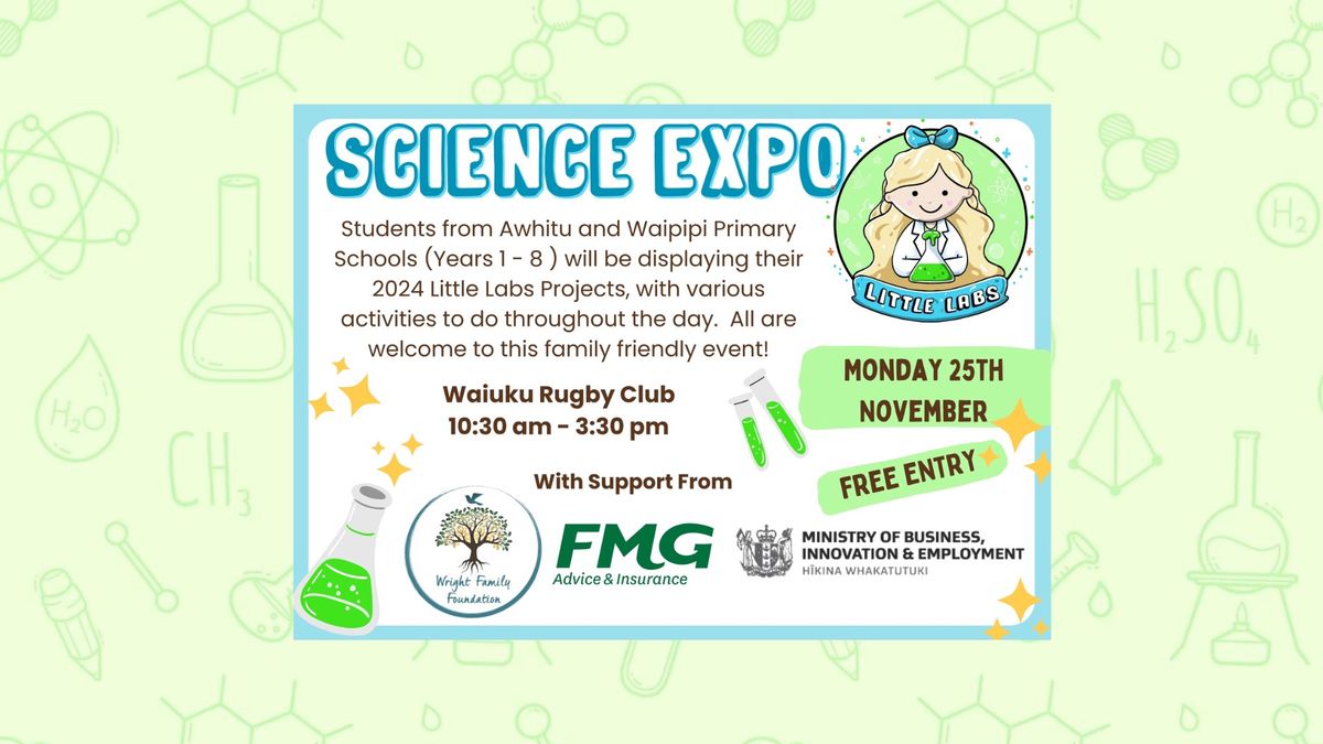 Little Labs Science Expo!