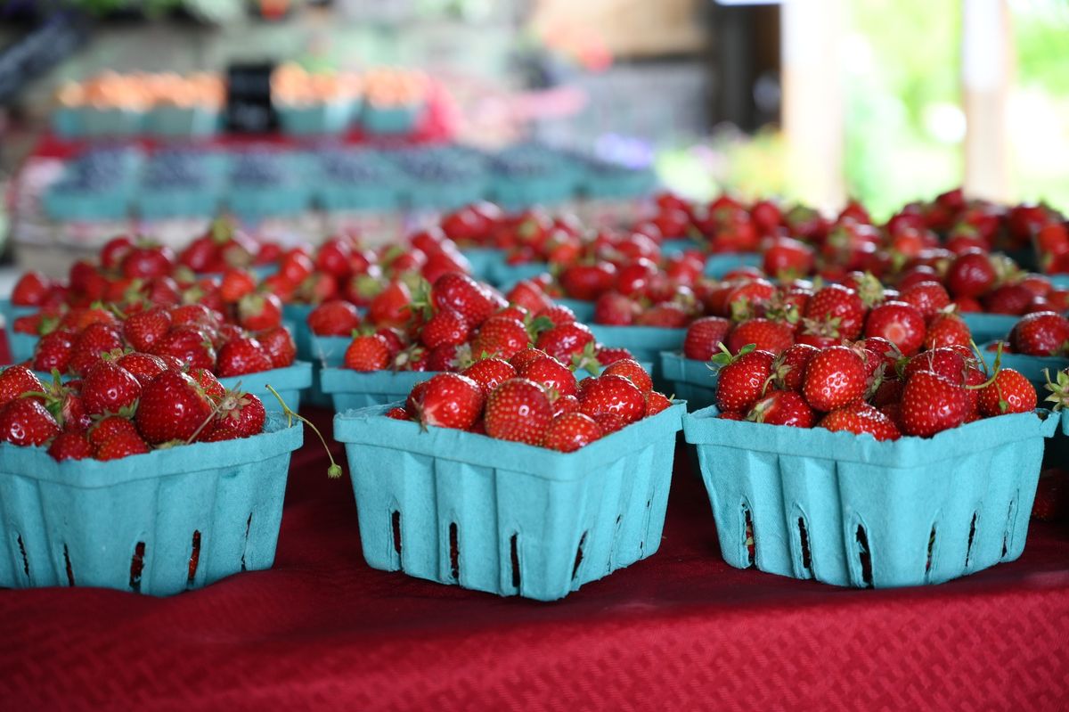 Berry Festival 