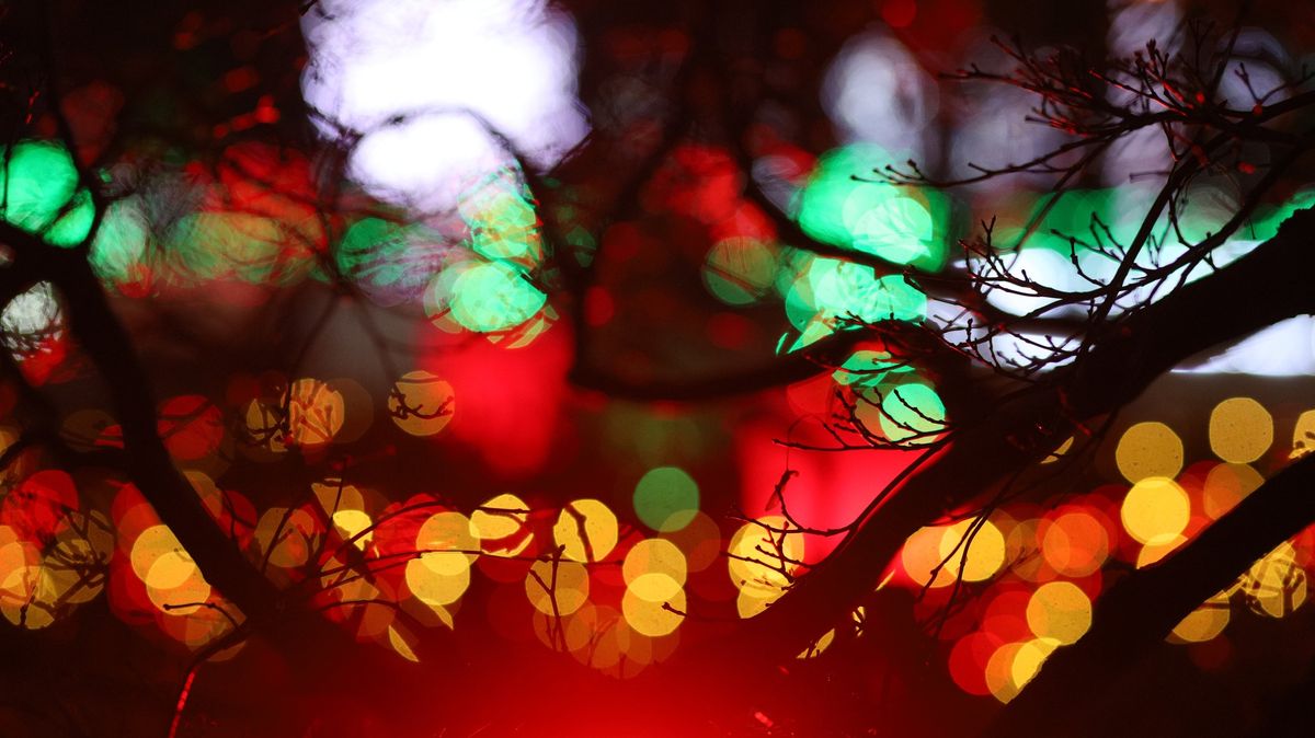 A Creepy Christmas Shoot At Scarehouse Windsor, 2024