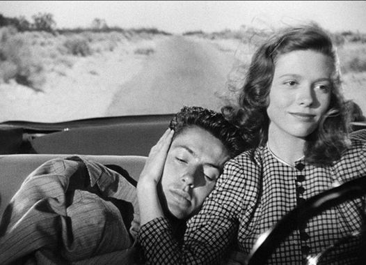 Nicholas Rays 'De lever om natten' \/ The House of Noir