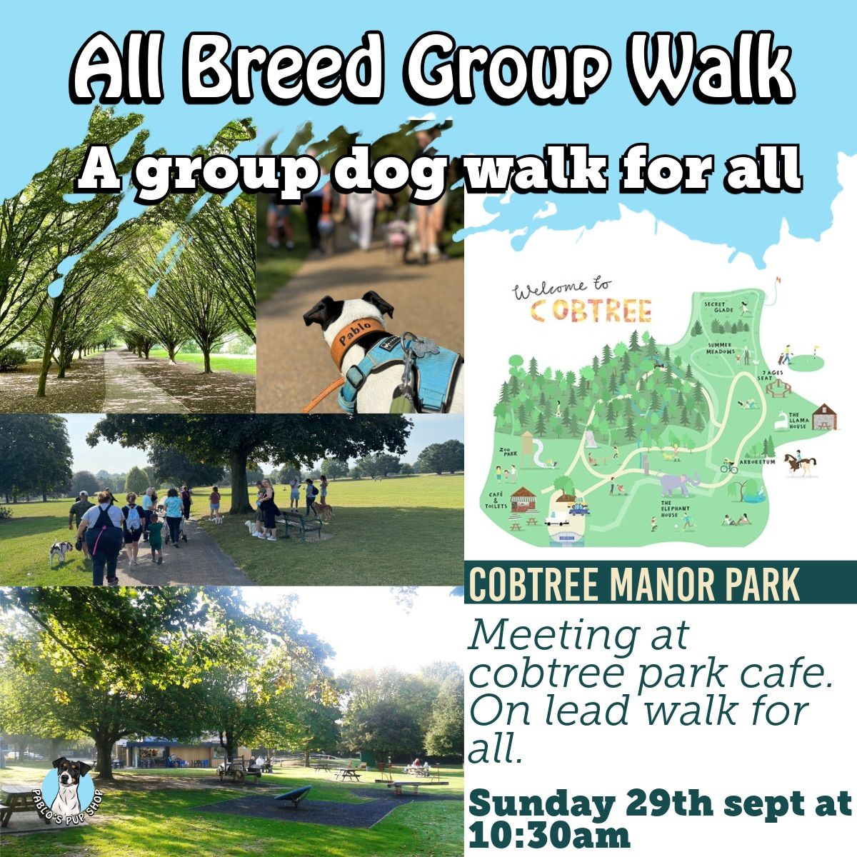 All Breed Group Dog Walk