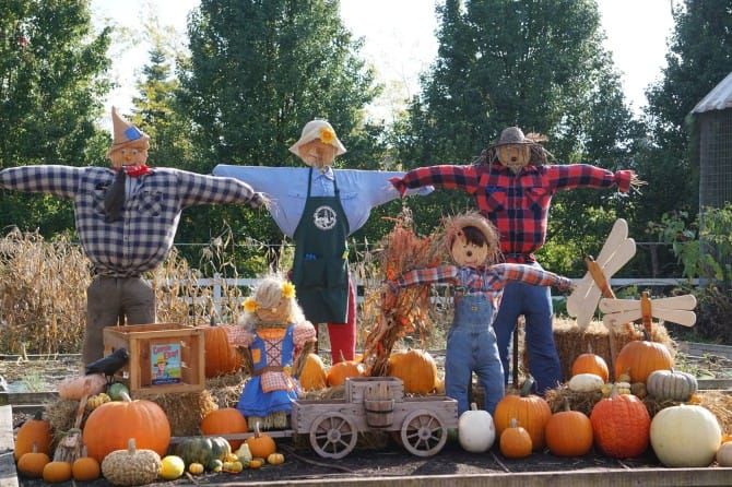 Scarecrow Fest and Fall Fest at Bold and Curvy