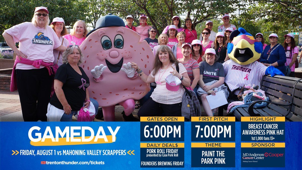 Mahoning Valley Scrappers at Trenton Thunder at Trenton Thunder Ballpark