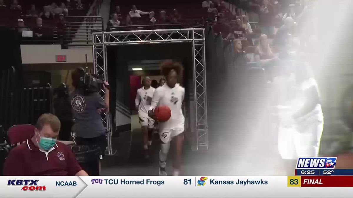 TCU Horned Frogs at Kansas Jayhawks Womens Volleyball