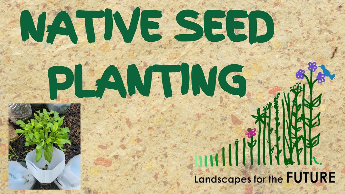 Native Seed Planting for Kids