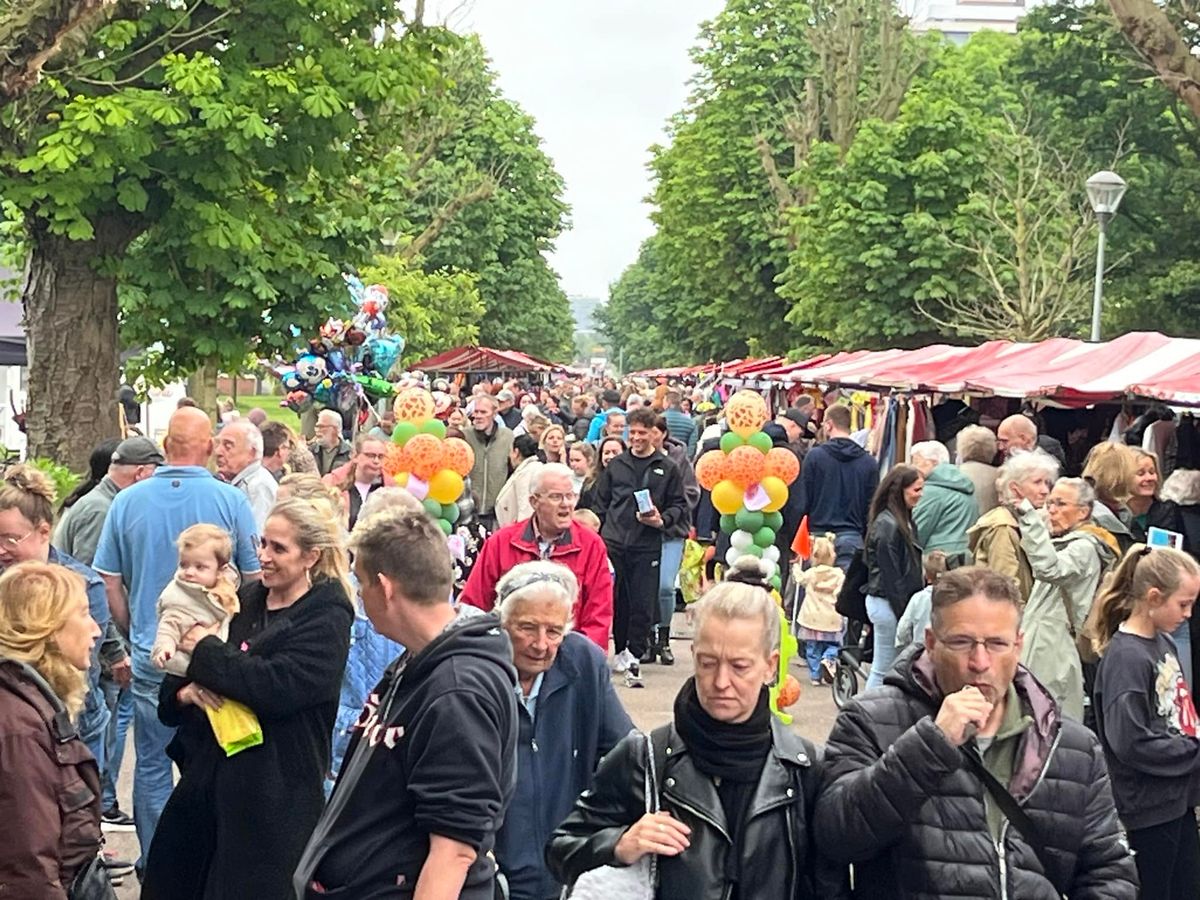 Jaarmarkt Parkwijk Haarlem-Oost +200 kramen - Zaterdag 7 juni 2025