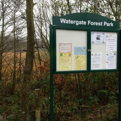 Friends of Watergate Forest Park