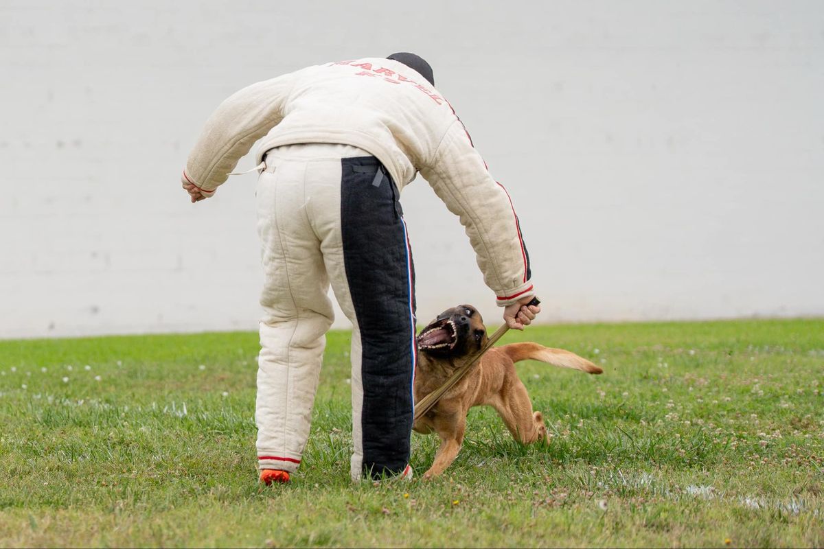 NARA Western Regionals