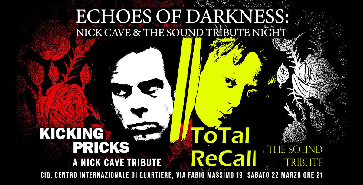 Echoes of Darkness: Nick Cave & The Sound tribute night