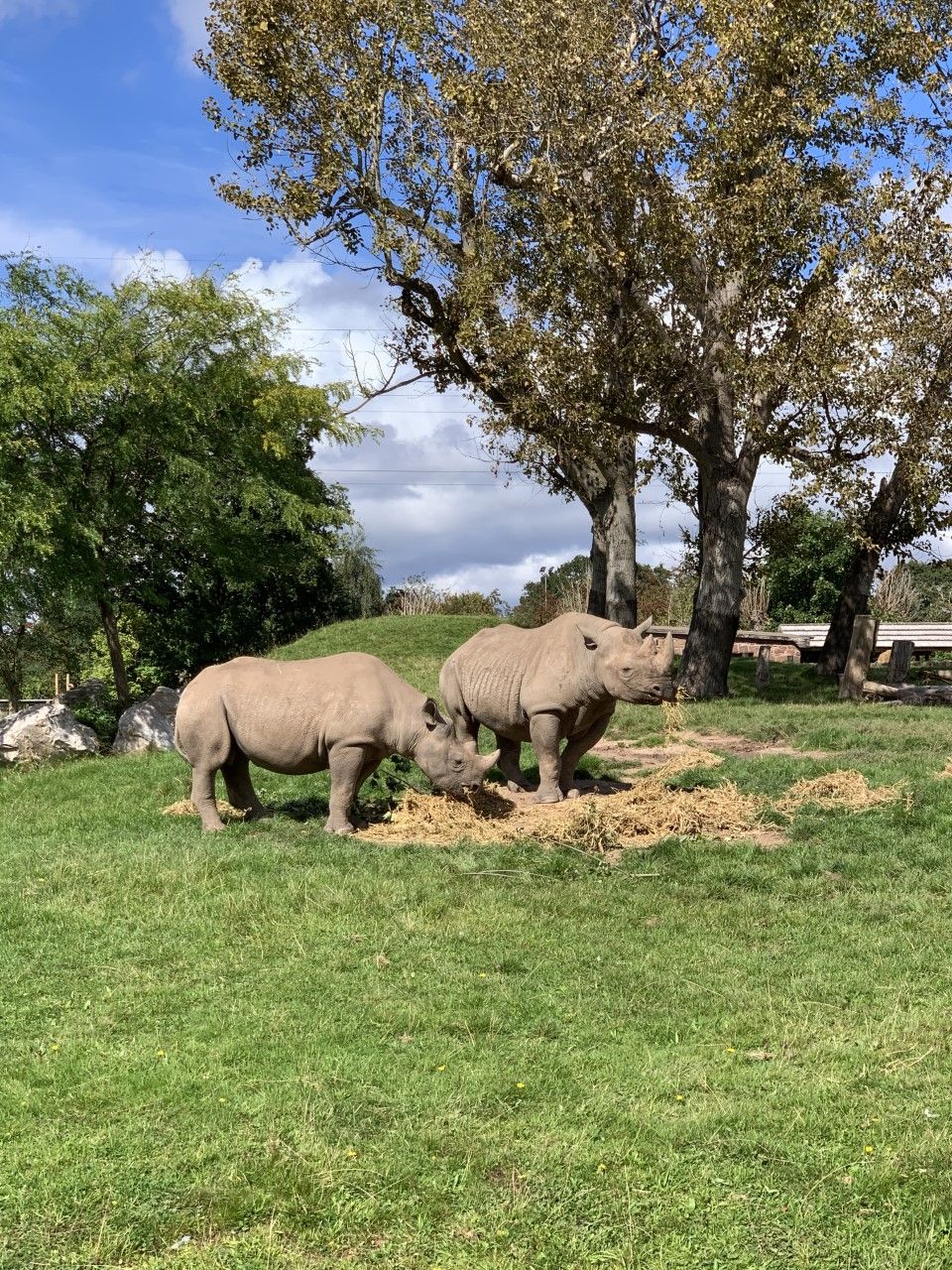 Chester Zoo