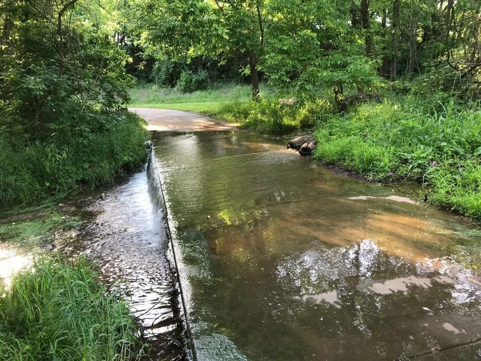 Lake Springfield Saunter