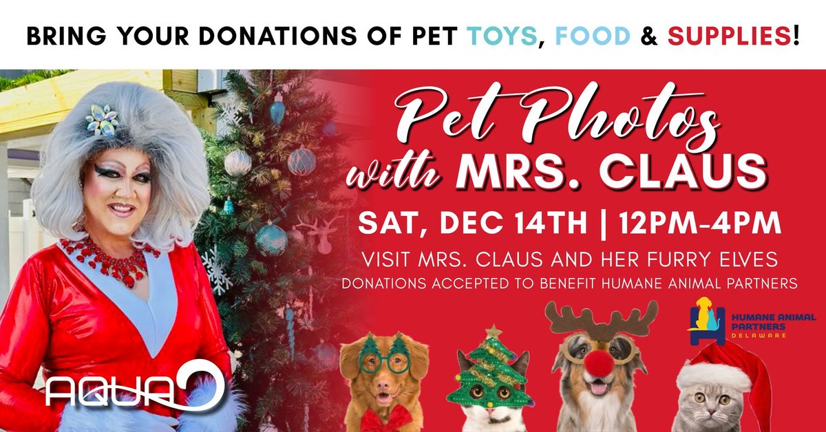 Pet Photos with Mrs. Claus at Aqua Rehoboth