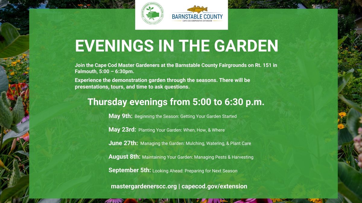 Evenings in the Garden: Maintaining Your Garden: Managing Pests & Harvesting