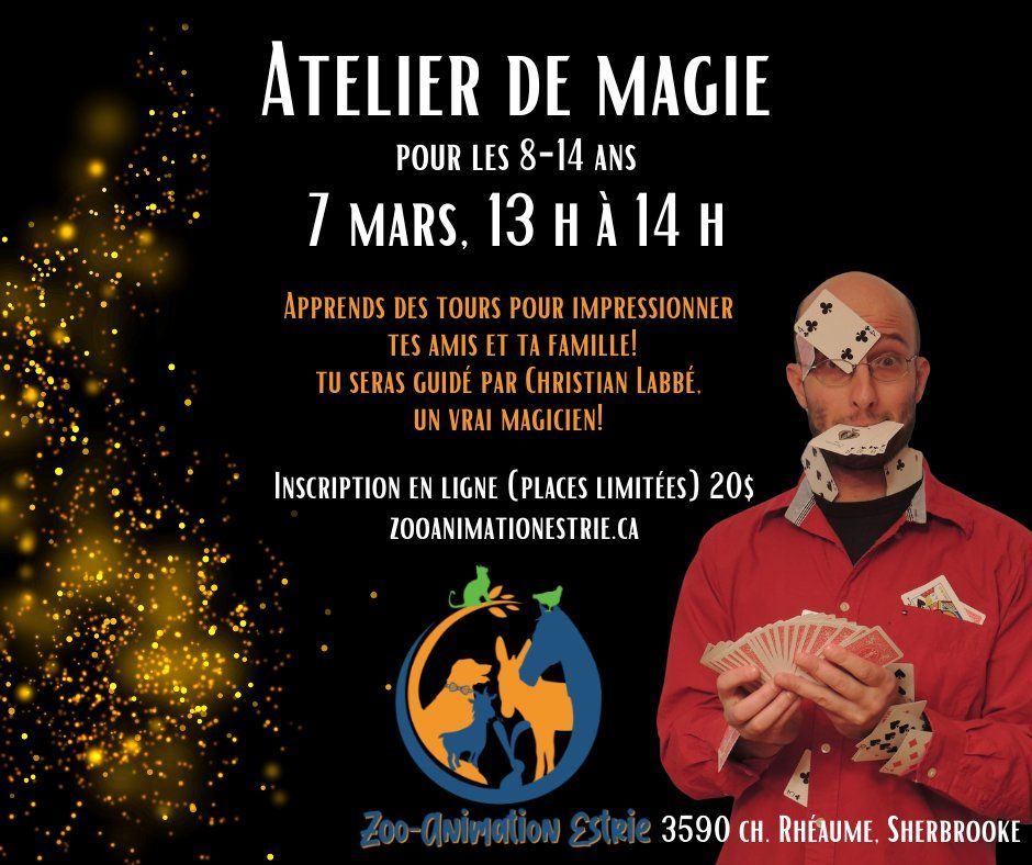 Atelier de magie (8-14 ans) chez Zoo-Animation Estrie