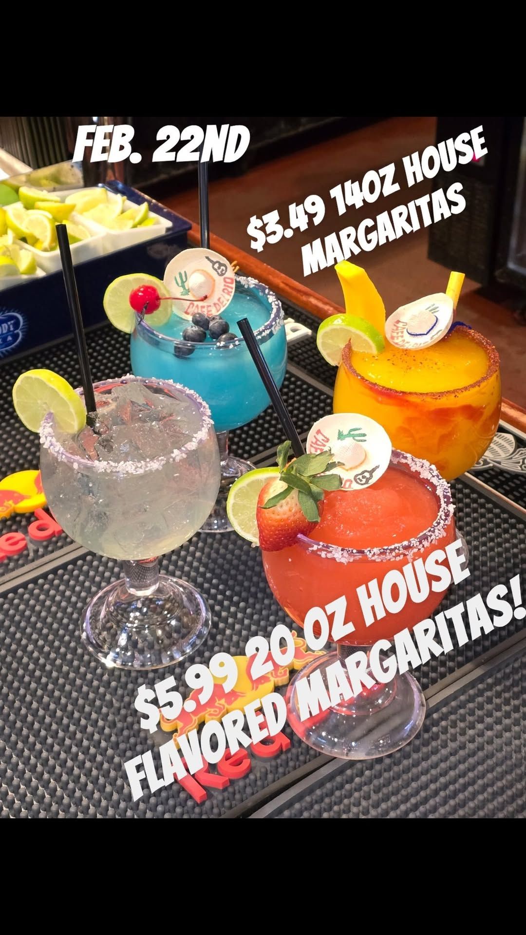 National Margarita Day Celebration