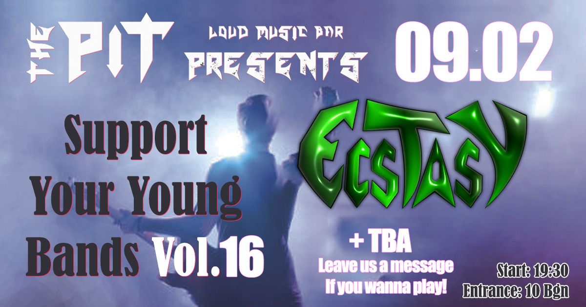 The Pit - Support Your Young Bands Vol.16