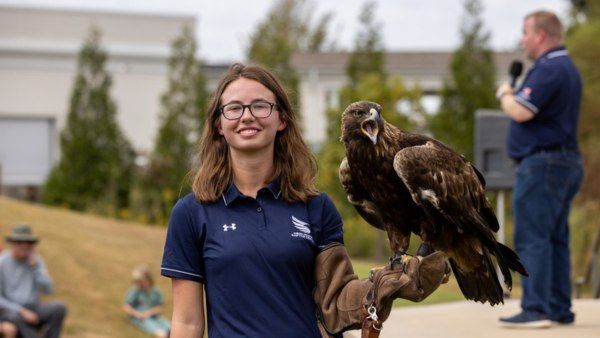 Raptor Shows