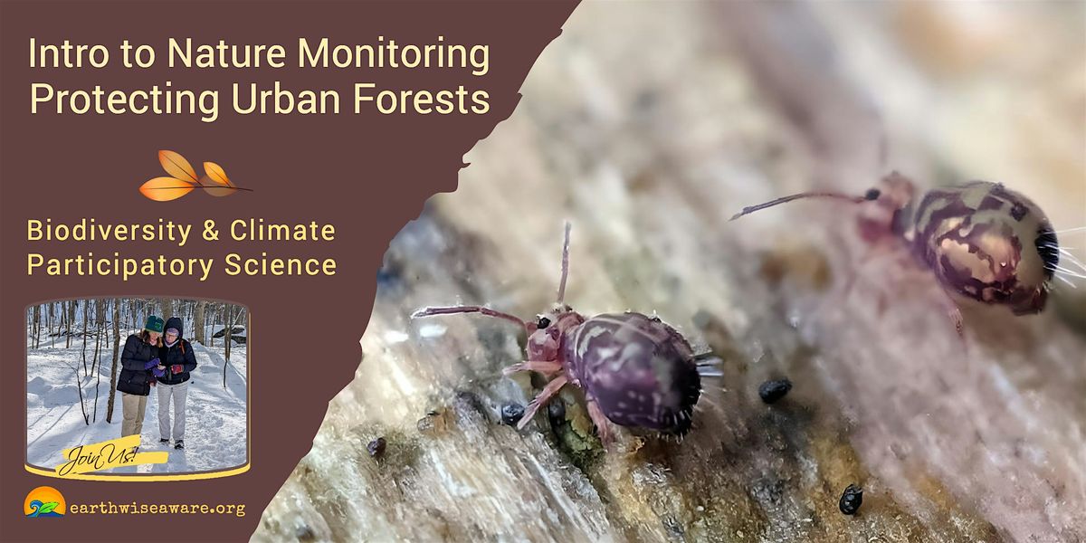 Introduction to Nature Monitoring \u2013 Protecting Urban Forests