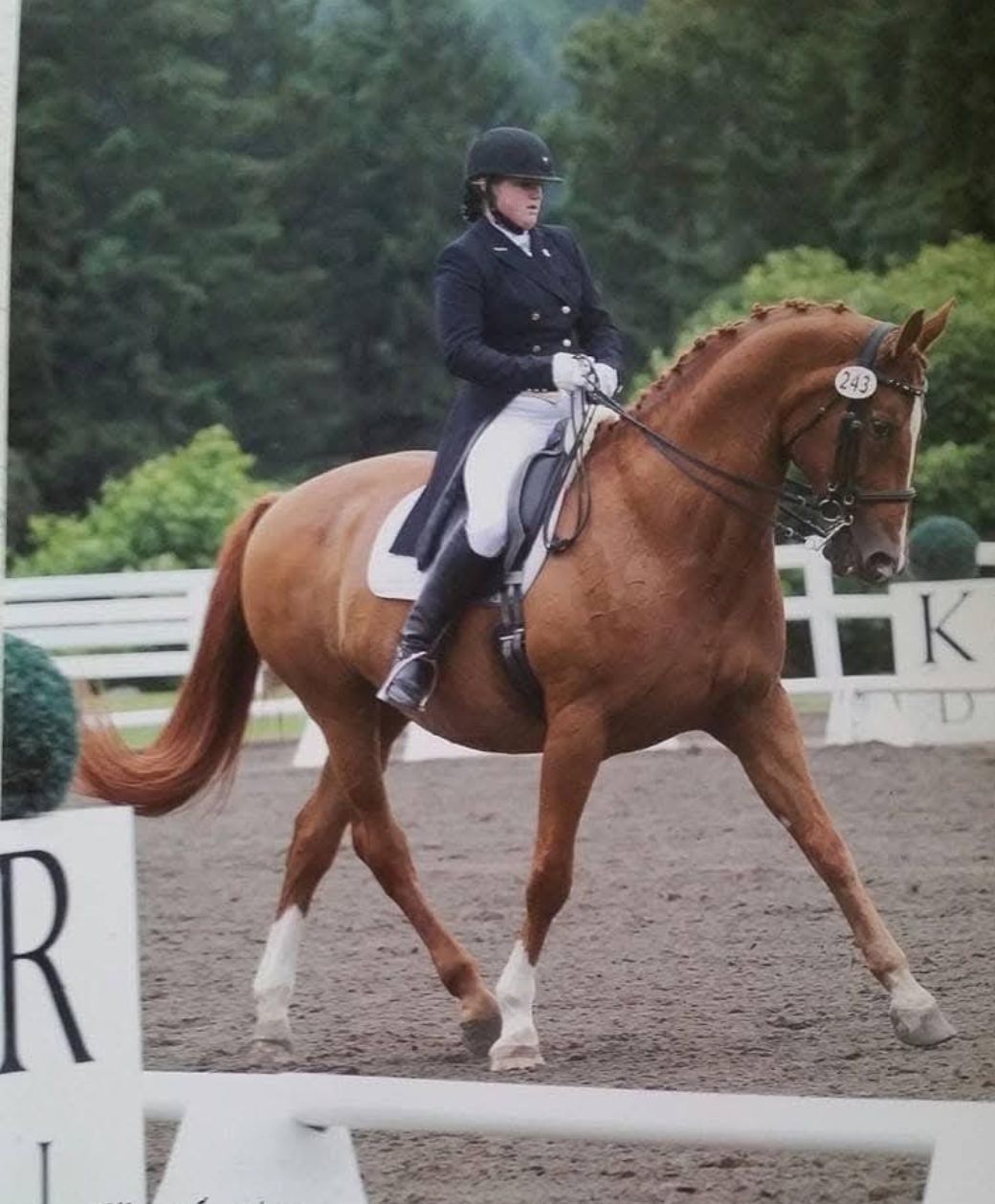 Carrie Harnden Dressage Clinic 