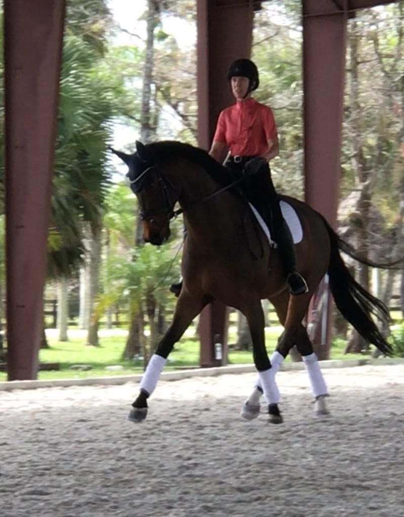 Barbara Strawson Dressage Clinic