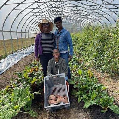 Sisters of the Soil