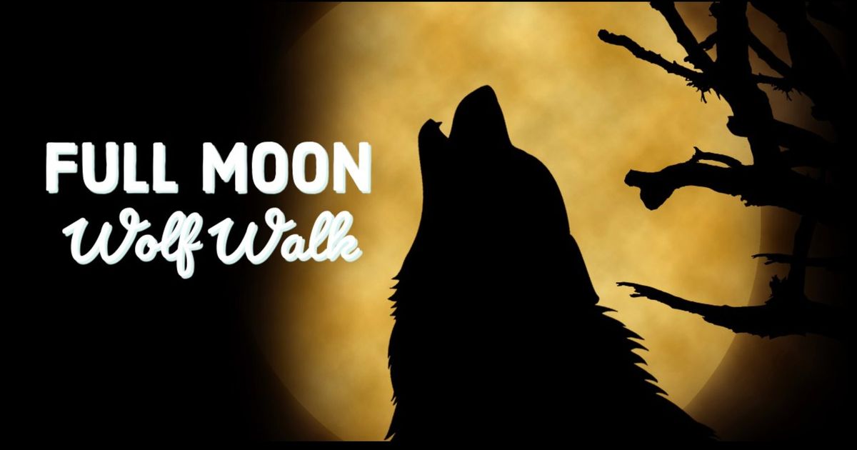 Full Wolf Moon Walk