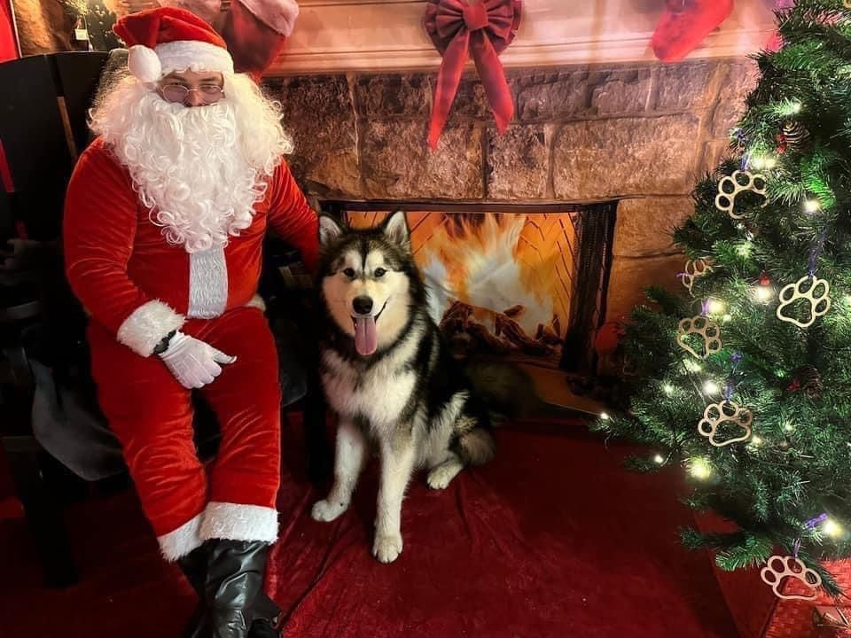 Santa Paws Dog Grotto 