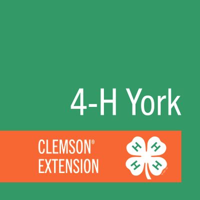 York County 4-H