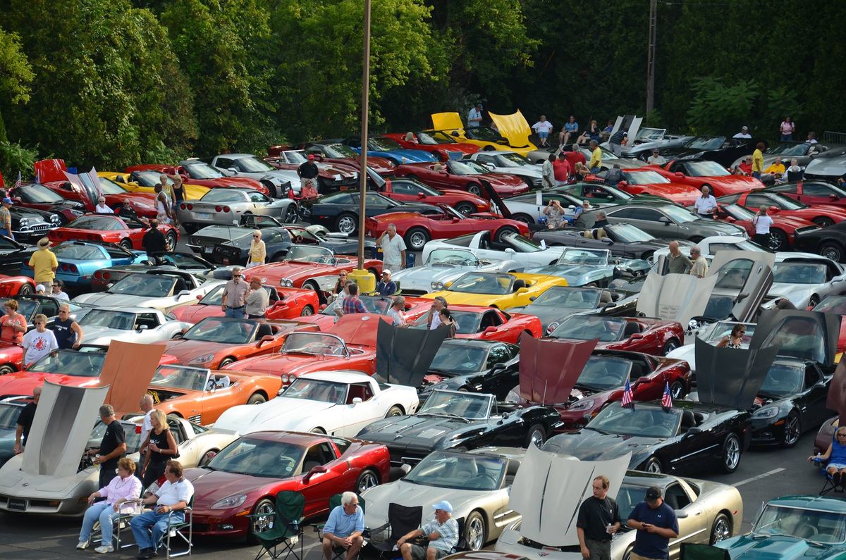 Corvettes on Woodward