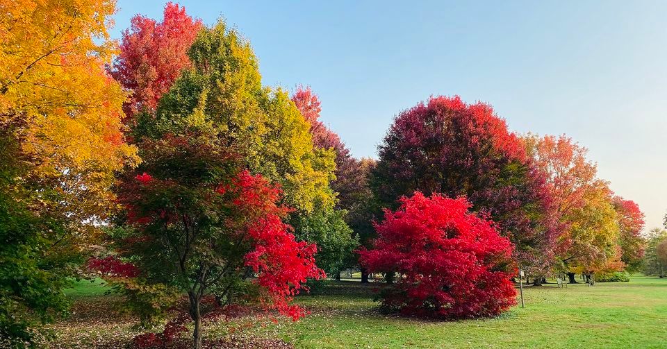 Garden Tour: The Colors of Fall