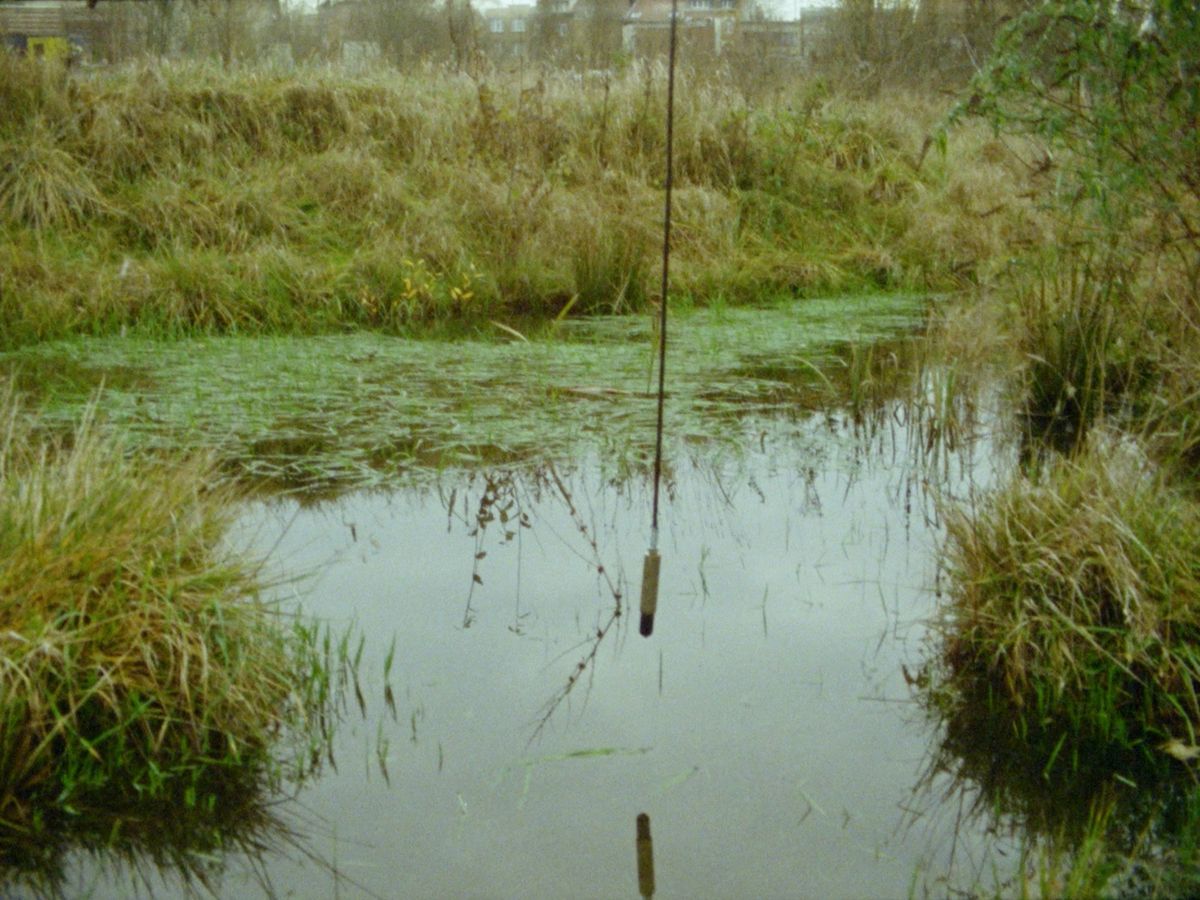 Wereldwaterdag in WIELS \u00b7 Journ\u00e9e mondiale de l'eau \u00e0 WIELS