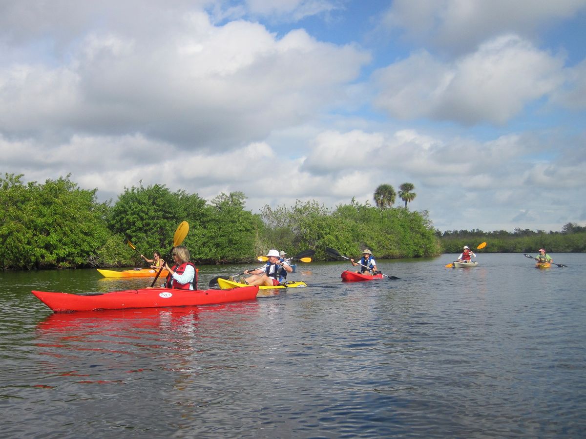 Guided Kayak Excursions