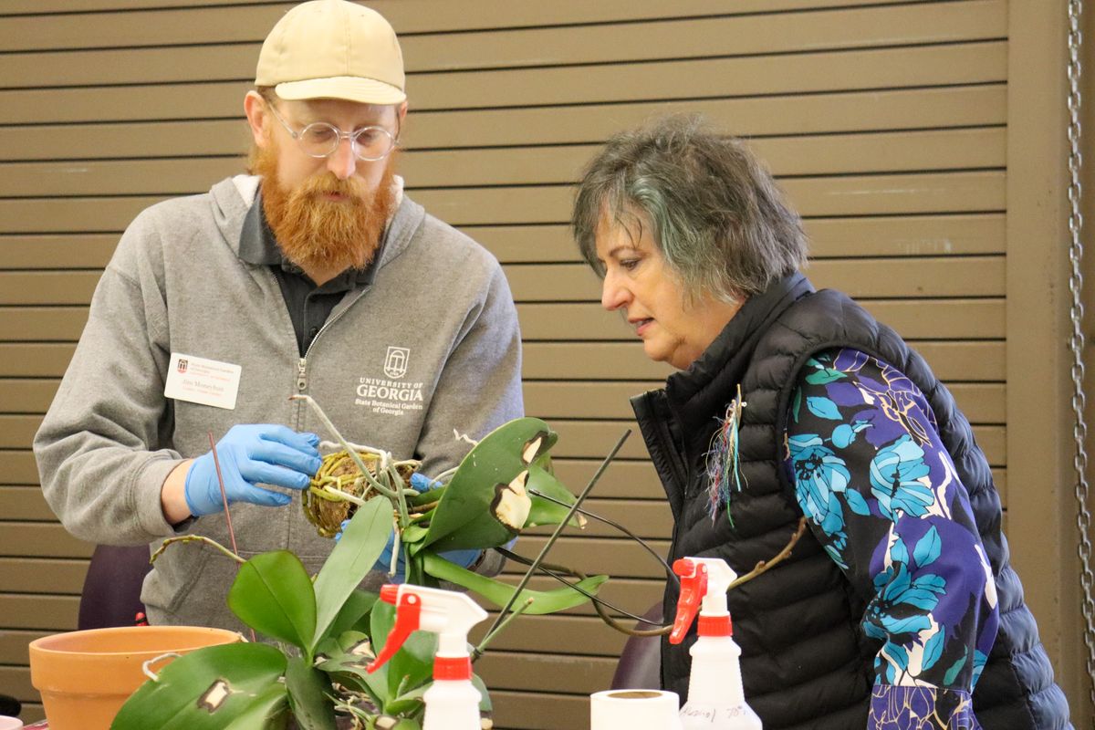 Orchid Repotting Class