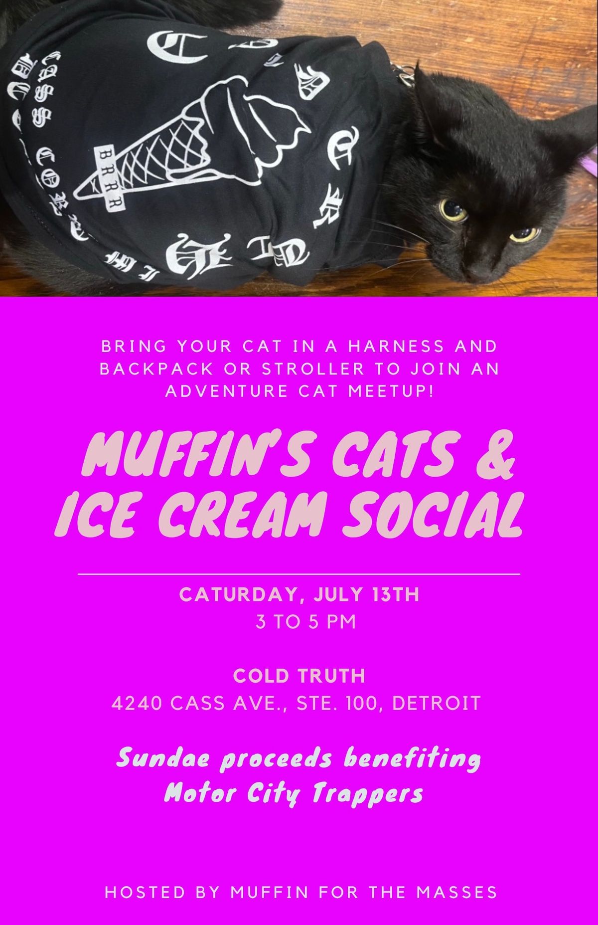 Muffin\u2019s Cats & Ice Cream Social
