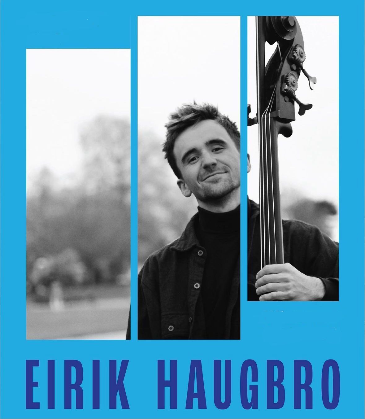 Eirik Haugbro Trio