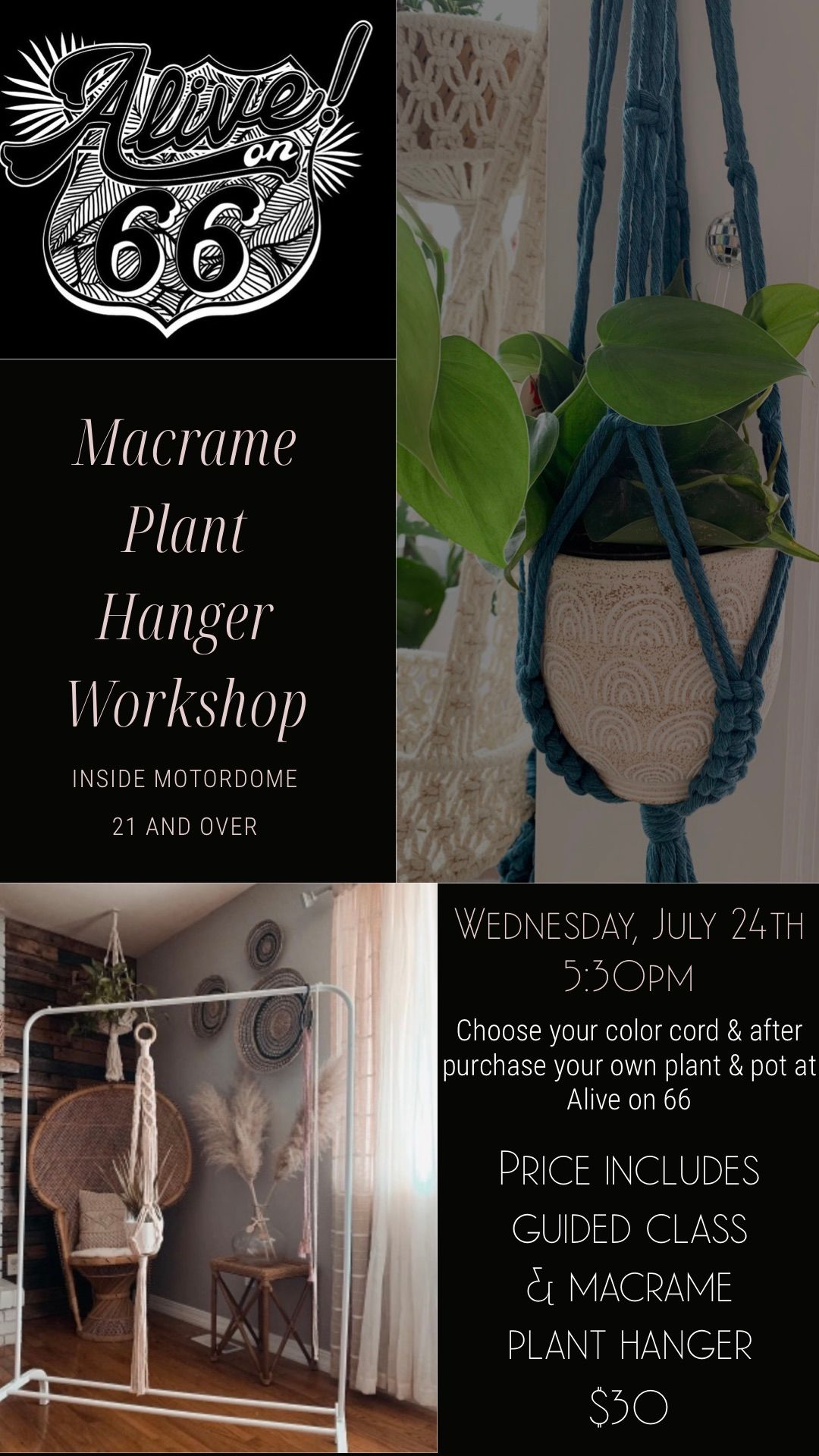Macrame Plant Hanger Workshop Alive on 66 Springfield 